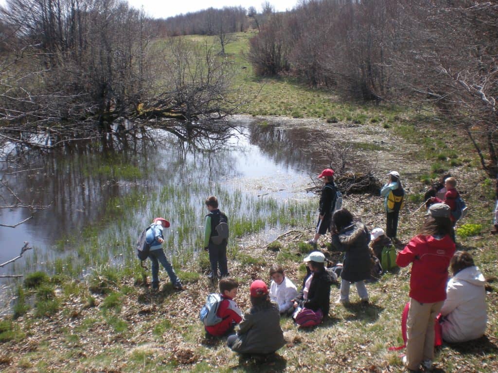 Éducation à l’environnement